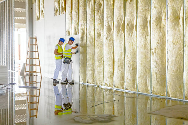 Best Specialized Insulation Services in Summit, MS